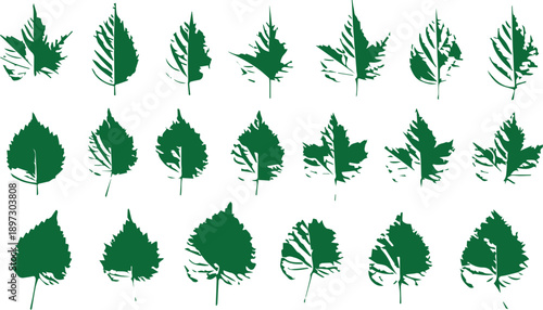 Collection of various green leaf shapes and types