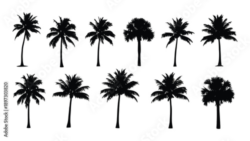 Collection of palm tree silhouettes Vector