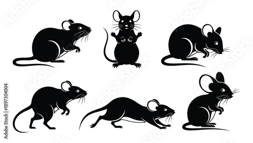 Six black rats in various poses Vector
