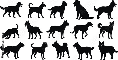A collection of dog silhouettes in various poses on a white background silhouette