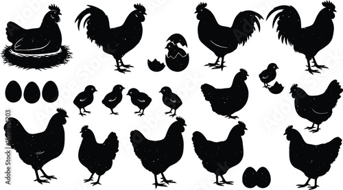 A collection of black chicken silhouettes against a white background, including roosters, hens, chicks, and eggs in various poses, silhouette