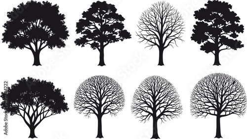 A collection of tree silhouettes in various stages of growth and decay against a white background silhouette