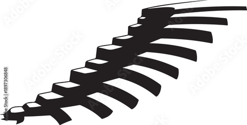Spine and vertebrae anatomy in black silhouette illustration