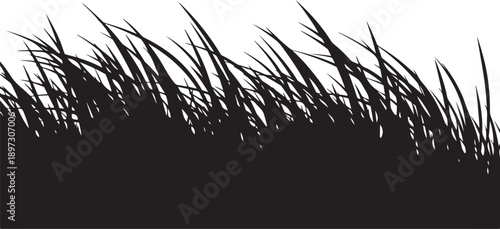 Silhouette of grass against a white background illustration design