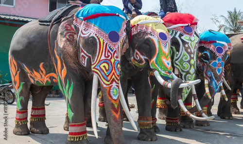 Drawing colourful graphic  on the elephants body with large and long ivory.