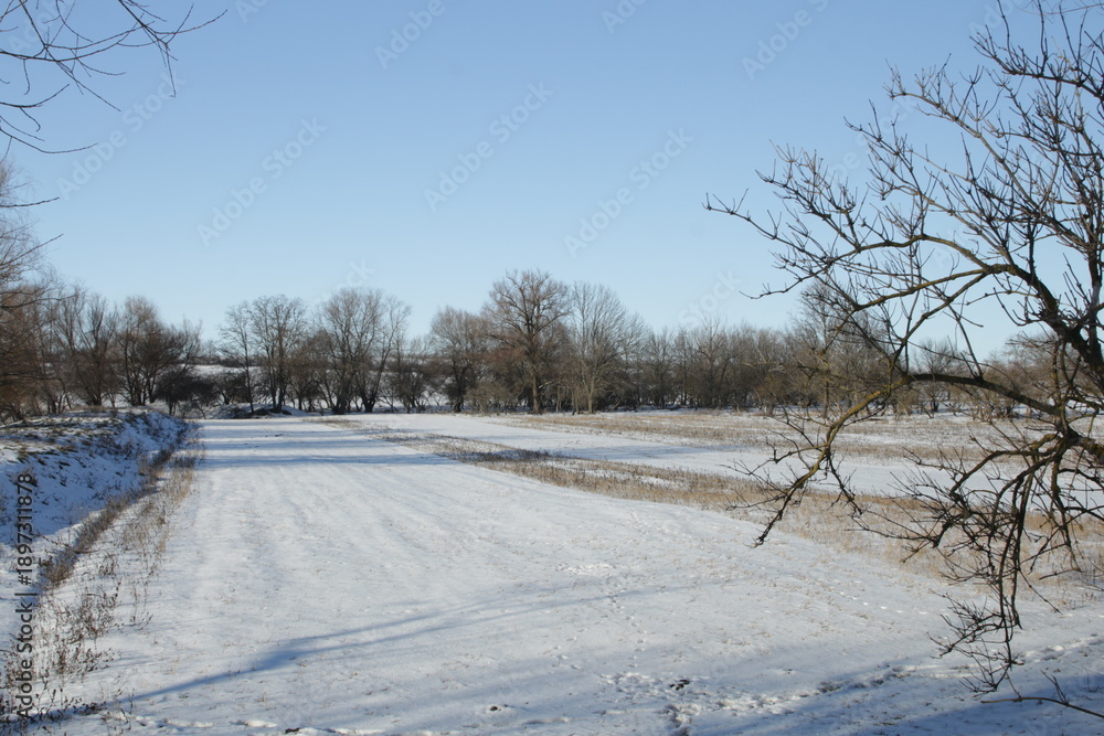 Obraz premium A snowy field with trees