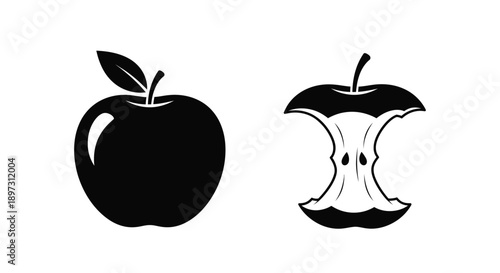 Detailed illustration of a whole apple and its core black silhouette