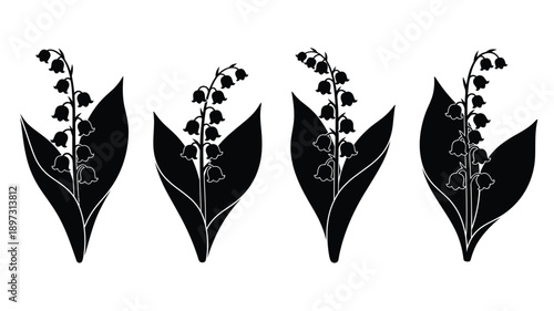 Elegant lily of the valley floral arrangement in black silhouette