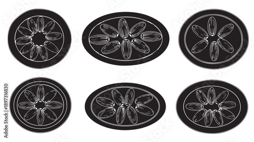 Black and white citrus slices in various shapes with detailed textures in minimalist illustration style for food packaging