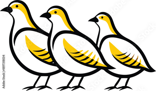 Three quail birds are depicted in a line across the frame, each in a three-quarter profile view facing to the right. The birds are drawn in a detailed, grayscale, cross-hatching style, emphasizing the