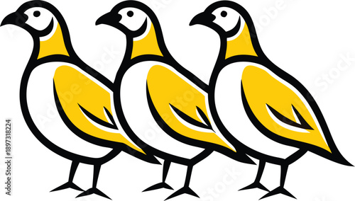 Three quail birds are depicted in a line across the frame, each in a three-quarter profile view facing to the right. The birds are drawn in a detailed, grayscale, cross-hatching style, emphasizing the