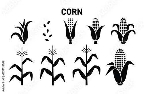 Collection of Black and White Corn Icons and Illustrations