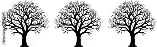 Bare tree silhouette set with intricate branching in bold black style, leafless winter nature illustration for landscape design, seasonal concepts and vector projects