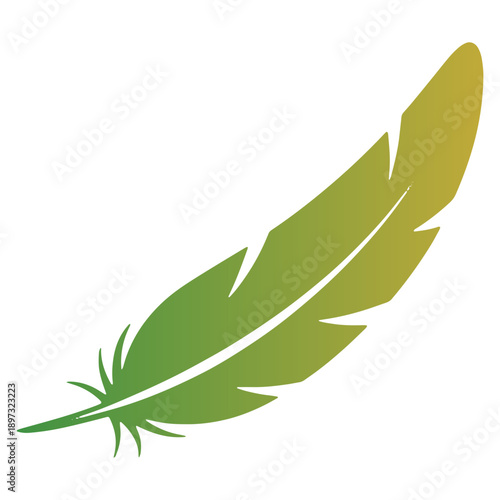 Colorfull Bird Feather Icon