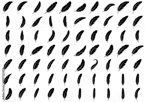 Silhouette of Bird Feather Set