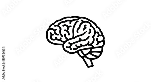 Detailed human brain illustration in black and white a striking silhouette