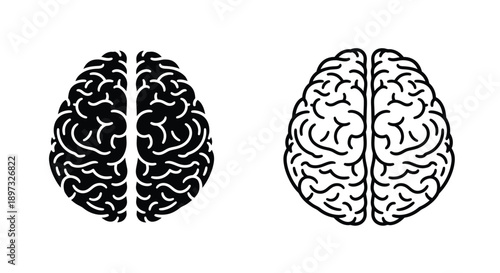 Detailed brain illustration with complex lobes a striking black silhouette