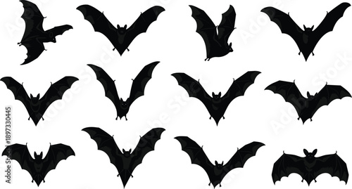 Bat silhouettes collection showing flying nocturnal animals, black and white vector illustration set isolated on white background design