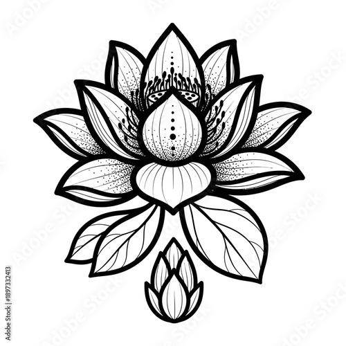 Intricate Black and White Lotus Flower Illustration with Bud and Petals Delicate Design