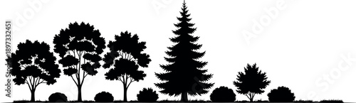 Black forest landscape silhouette with pine and deciduous trees, bushes and grass line, panoramic nature scenery isolated on white background for landscape and design projects