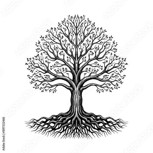 Intricate detailed black and white illustration of a majestic ancient tree with sprawling roots