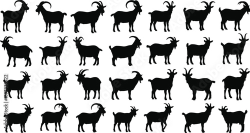 Large Set of Domestic Goat Silhouettes Featuring Different Breeds with Curved Horns Isolated on White Background for Farm Animal Logo and Livestock Graphic Design