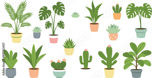 Collection of flat vector icons featuring various indoor house plants potted succulents cacti and tropical monstera leaves for home decor
