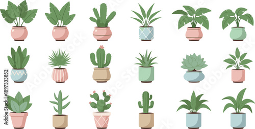 Elegant vector icon set of various indoor house plants potted succulents and cacti in decorative pastel ceramic pots for interior home design