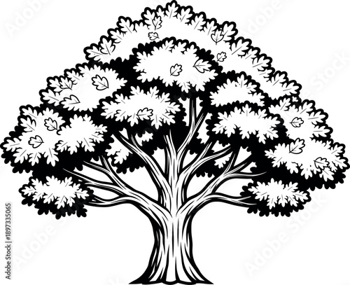 Vintage style oak tree logo with detailed leafy canopy and engraved branch texture for heritage and landscape design vector.