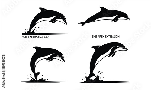 Dolphin full-body leap vector silhouette illustration design set collection, dolphin silhouette, dolphin full body leap silhouette, dolphin jumping vector, dolphin leaping illustration