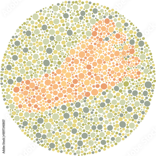 Foot Toes Illustration for Color Blindness Diagnostic Test in Podiatry