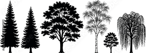Collection of black tree silhouettes including pine, oak, birch, small sapling and willow, isolated on white background for nature, forest and design projects