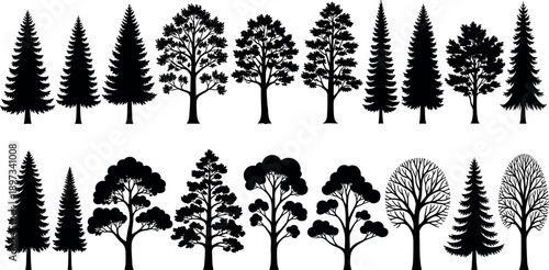 Collection of black tree silhouettes featuring pine, spruce, oak and deciduous forest trees, varied natural shapes isolated on white background for landscape, nature and design projects