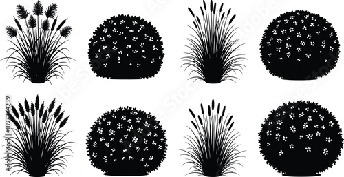 Detailed black wild grass and flowering bush silhouettes set isolated on white background for garden landscaping vegetation elements meadow nature scene construction greenery graphics