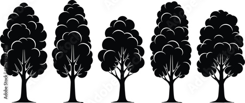 Set of Deciduous Tree Silhouettes Featuring Tall Poplar Birch and Oak Timber Icons Isolated on White Background for Forestry Nature Landscape Vector Design
