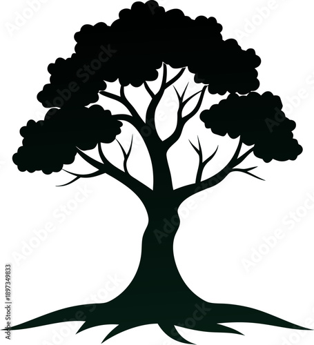 Tree growing step by step vector silhouette   on white background 