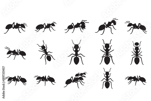 Ant Insect Silhouette Collection - Vector Pest Control, Nature, and Colony Life Icons