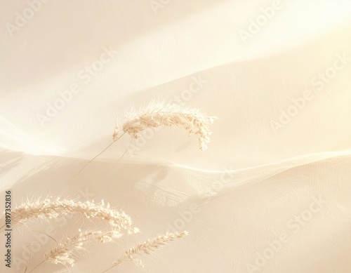 Delicate Dried Grass on Soft Cream Background in Gentle Light