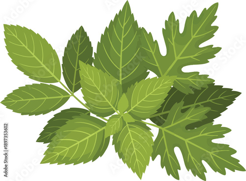 Children Celebrating Eid with Sparklers.