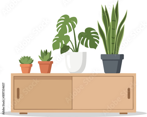 Potted Plants on Wooden Cabinet.