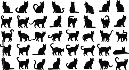 Black cat silhouette collection, feline poses, vector animal icons, sitting, walking, stretching cats, pet graphics, domestic creatures, expressive design set