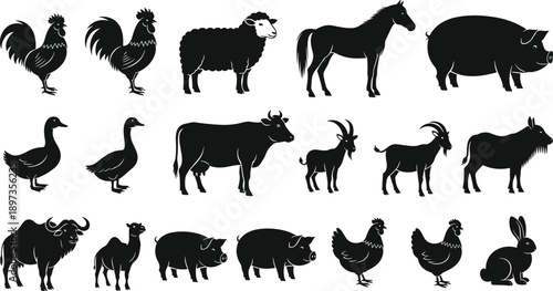 Farm animal silhouette collection, black vector livestock, domestic creatures, side profile icons, rural animals, educational design, barnyard species, graphic set