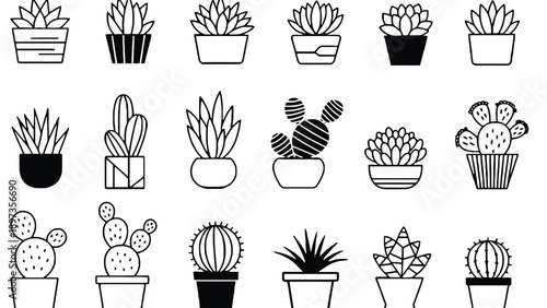 Black and white illustration of various succulents in pots on white background