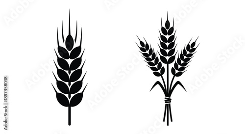 Elegant wheat stalks in black and white a striking botanical silhouette