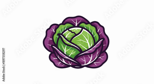 A colorful cartoon illustration of a fresh purple and green cabbage, isolated on a white background