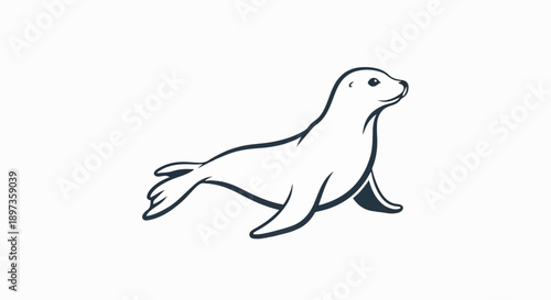 A minimalist line art illustration features a gray and white seal or sea lion resting on a white background