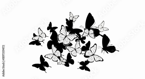 A monochrome cluster of stylized butterflies, some solid black, some with outlined wings, on white