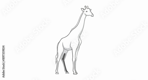 A full-body cartoon-style illustration of a giraffe standing in profile with minimal gray shading