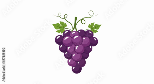 A vibrant, cartoon-style illustration of a bunch of deep purple grapes with green leaves and tendrils