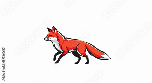 A vibrant red fox illustration, walking, with white fur accents and black paws, set against a clean white background